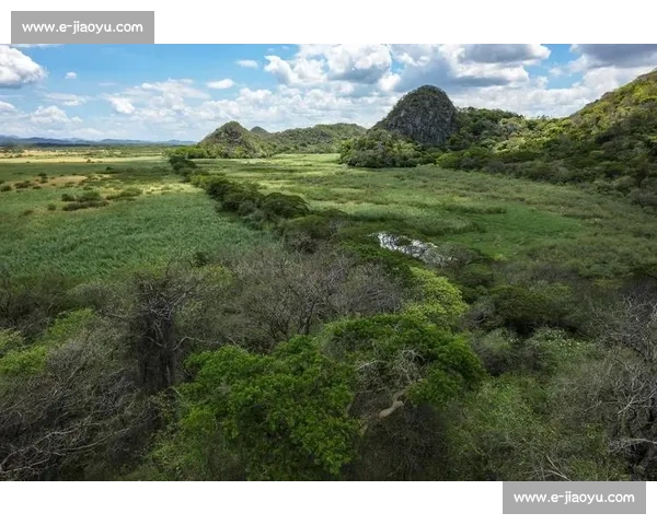 哥斯达黎加顽强抵抗，能否书写新的传奇